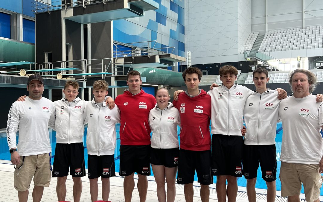3rd Visegrad Group International Diving Competition in Budapest/Ungarn
